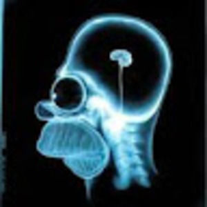 Meet your Posher, Norman